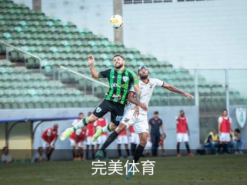 完美体育介绍