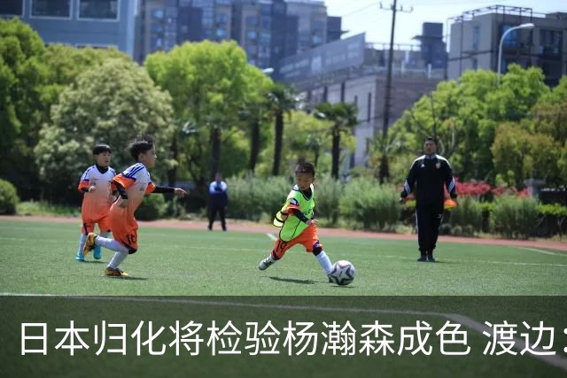 日本归化将检验杨瀚森成色 渡边：有实力击败中国男篮